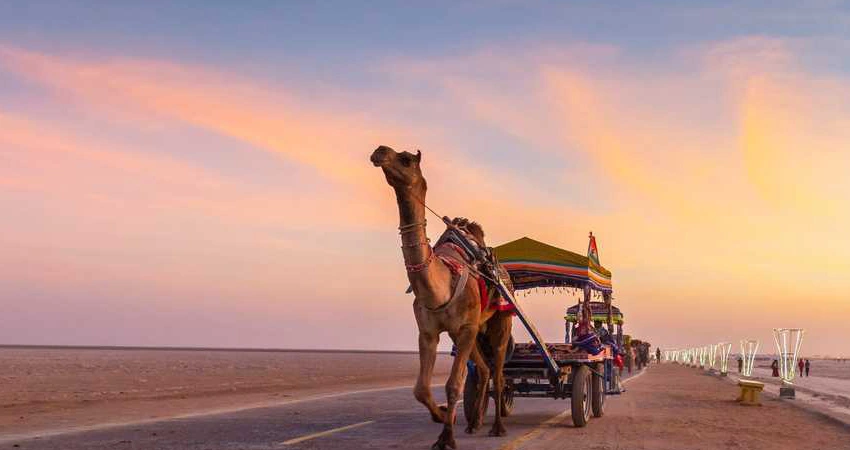 Travel Image