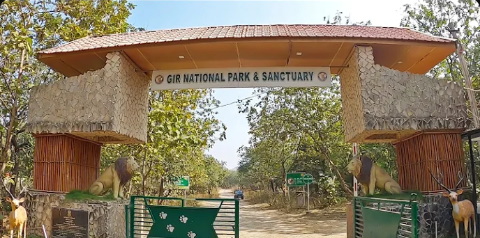 Top 5 National Parks of Gujarat for Wildlife Sanctuaries
