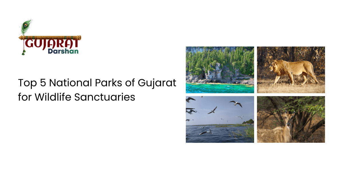 Top 5 National Parks of Gujarat for Wildlife Sanctuaries